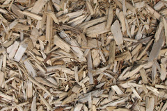 biomass boilers Colcot